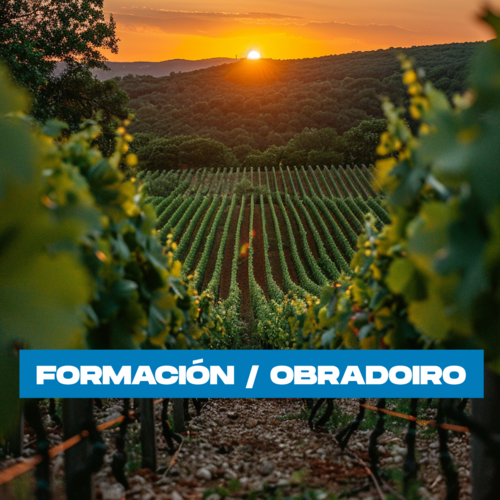 Web cuadrado